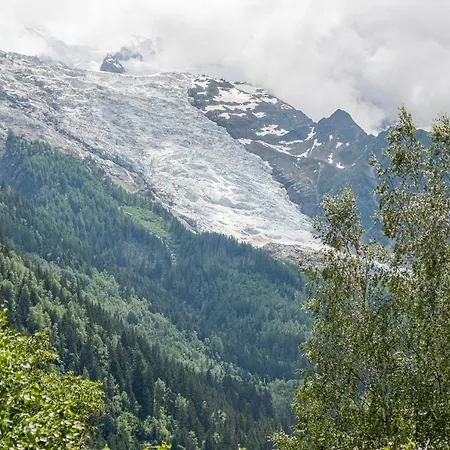 Au Coeur Du Glacier Apartment Chamonix